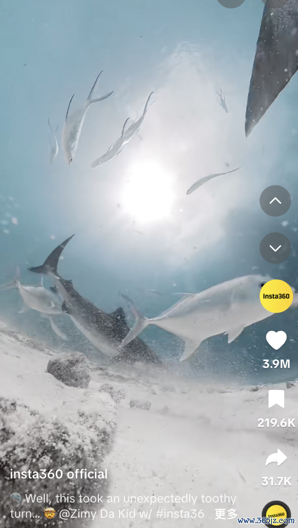 外交媒体上使用Instagram360全景相机和畅通相机拍摄的视频