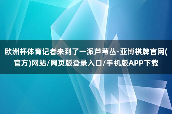 欧洲杯体育记者来到了一派芦苇丛-亚博棋牌官网(官方)网站/网页版登录入口/手机版APP下载
