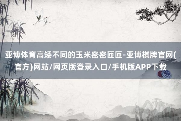 亚博体育高矮不同的玉米密密匝匝-亚博棋牌官网(官方)网站/网页版登录入口/手机版APP下载